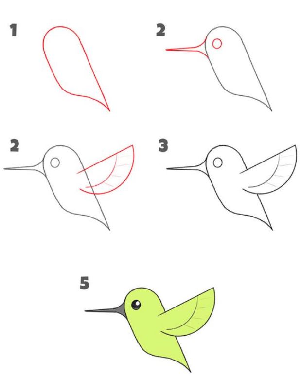 Cara menggambar burung