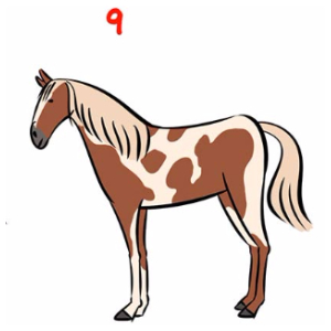 Menggambar Kuda 9